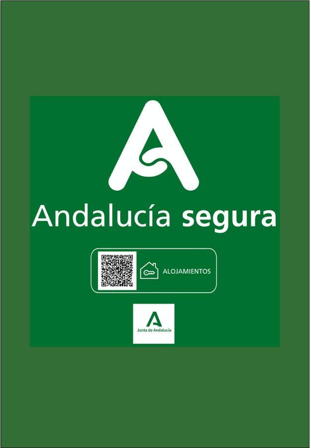Holidays2Malaga Heredia 3 Bedroom Opposite Malaga Port Екстериор снимка